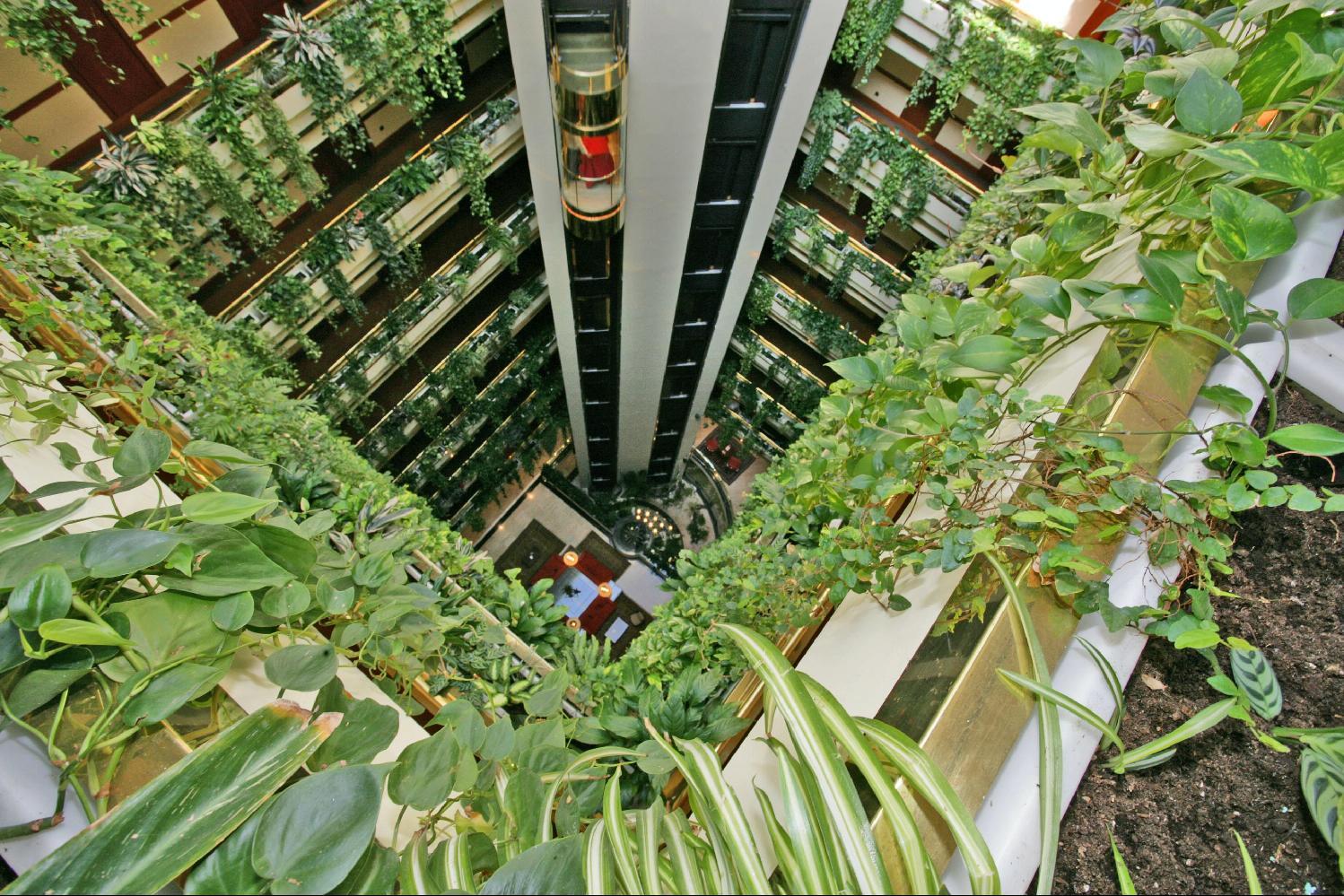 Eurostars Gran Hotel Santiago Santiago de Compostela Exterior photo